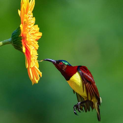 Photo #13190650