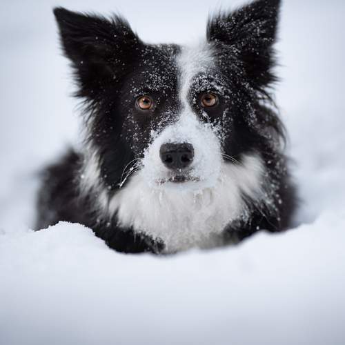 Photo #13190751