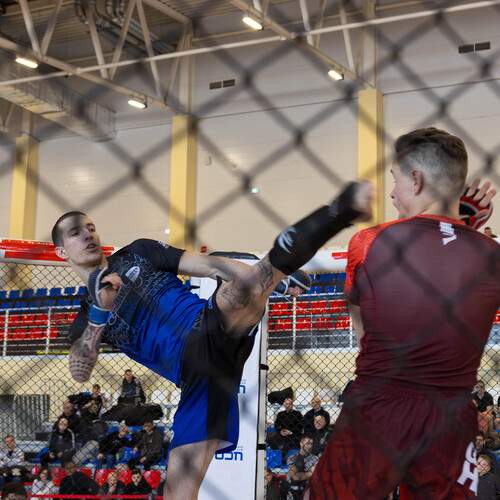 Photo #13190892