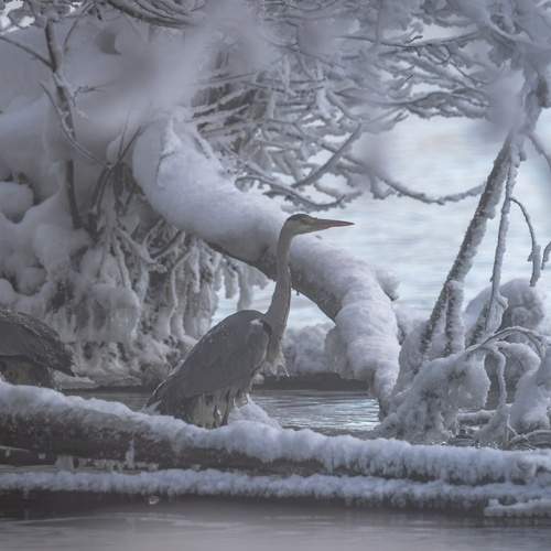 Фотография #13191062