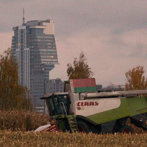 Photo #13191136