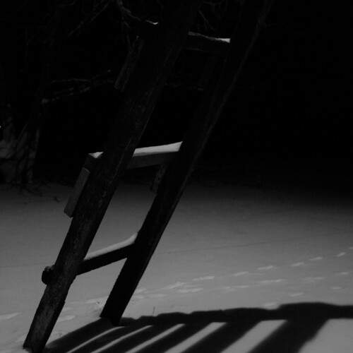 Photo #13191169