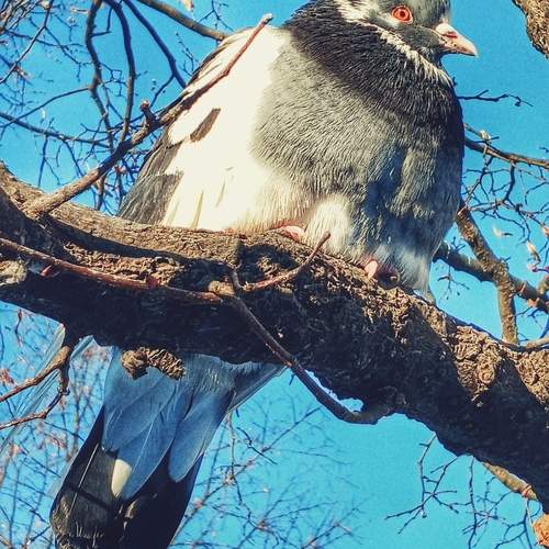 Photo #13191209