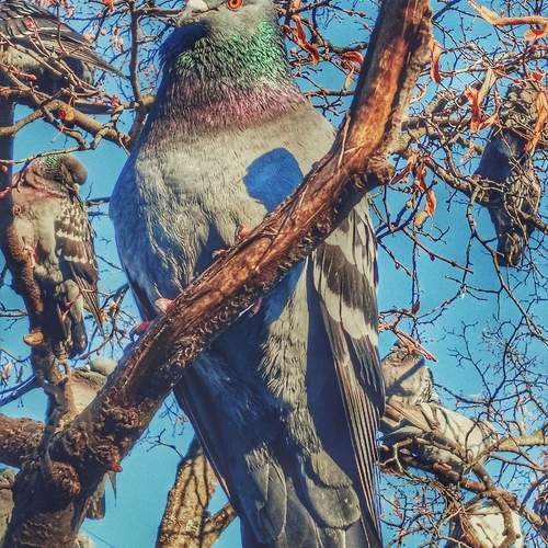 Photo #13191211
