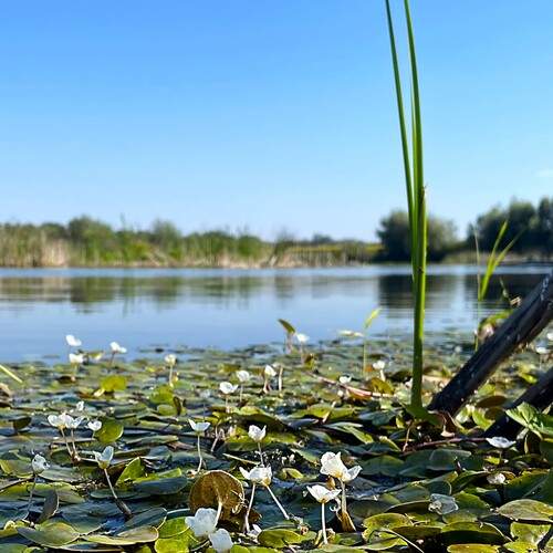 Photo #13191363