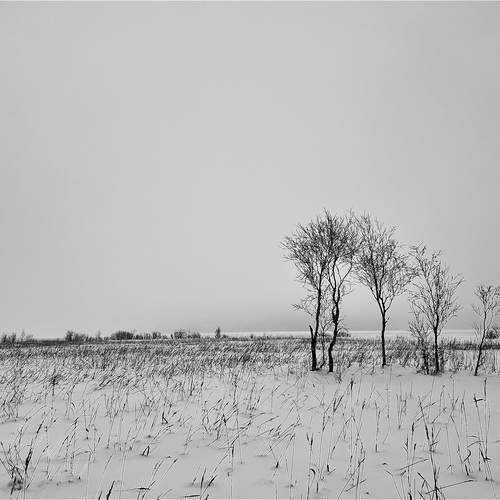 Photo #13191483