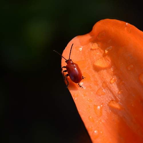 Photo #13191548