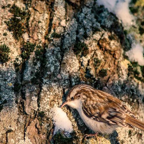 Photo #13191706