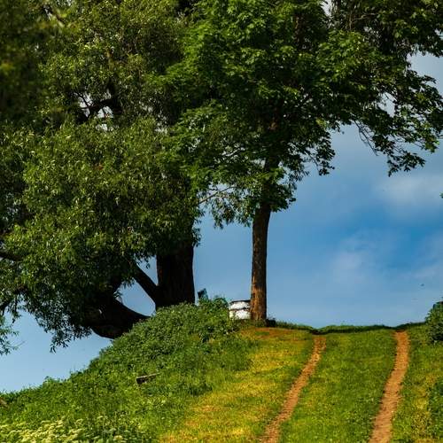 Фотография #13191716