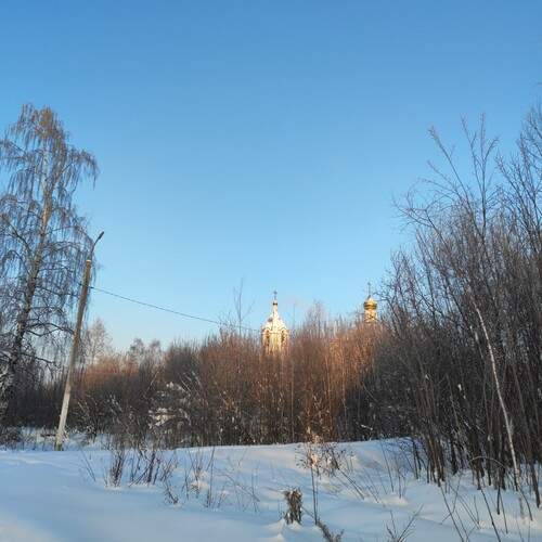 Photo #13191812