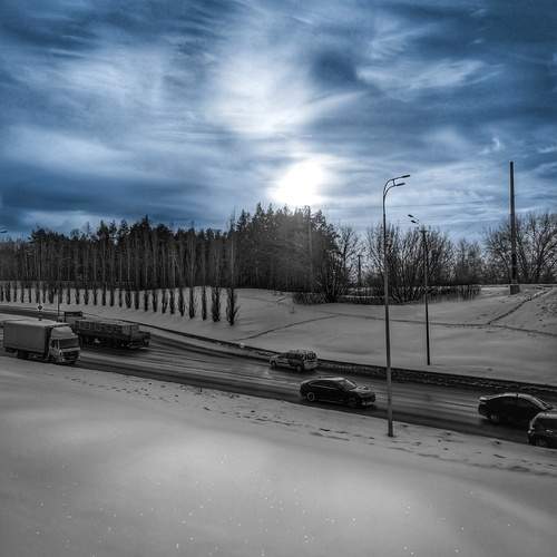 Photo #13191820
