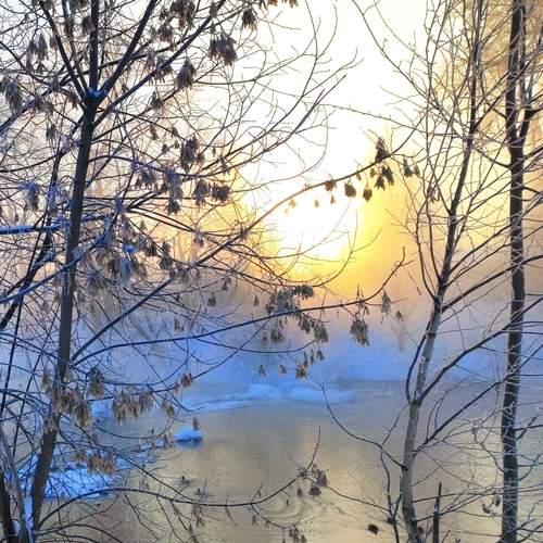Photo #13191830