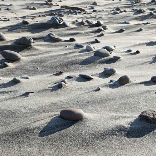 Photo #13192034