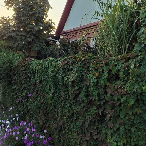 Photo #13192036