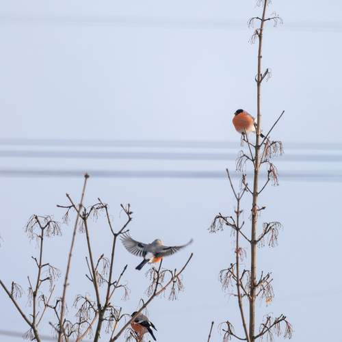Photo #13192189