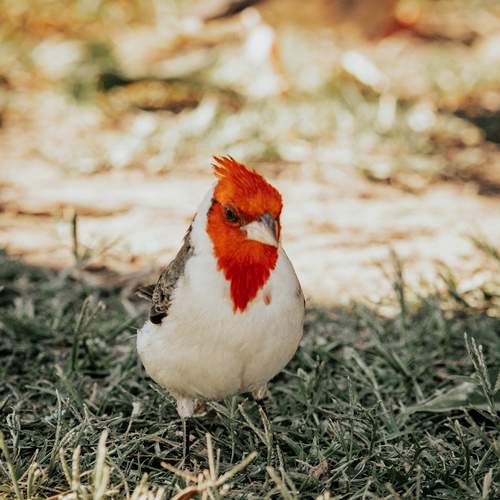 Photo #13192337