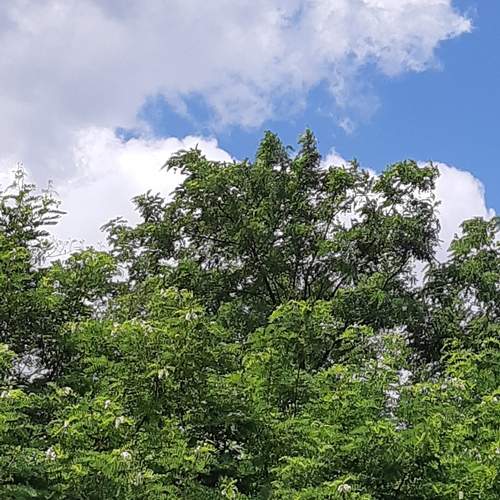 ...if it\'s not green....it\'s blue....