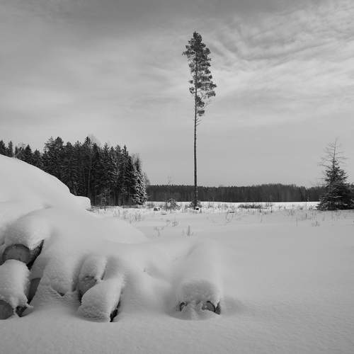 Photo #13192382