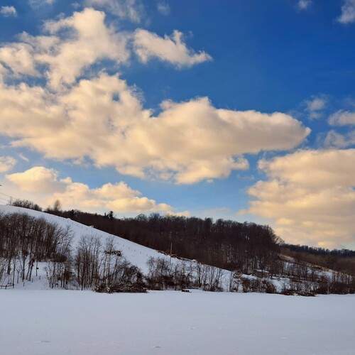 Photo #13192646