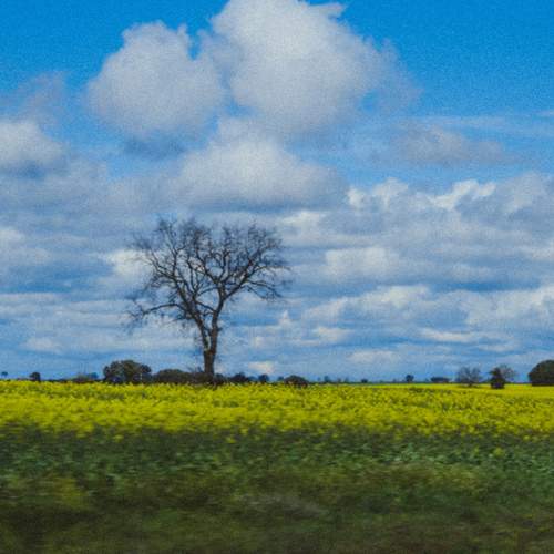 Фотография #13192728