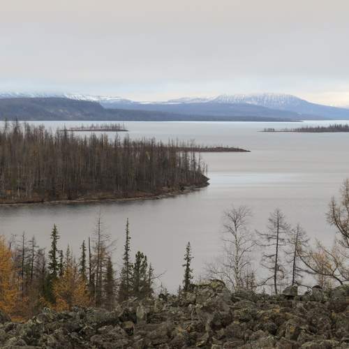 Photo #13192745