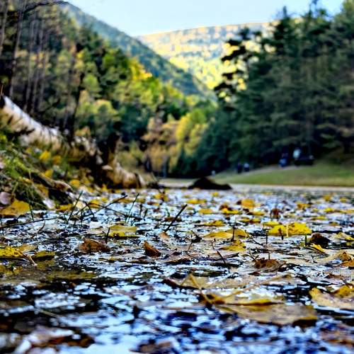 Photo #13192805