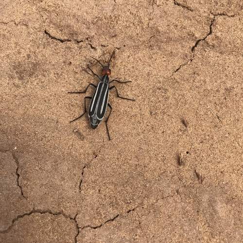 Photo #13193019