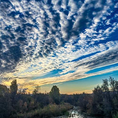 Photo #13193221
