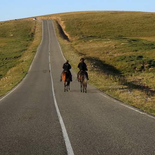 Photo #13193365