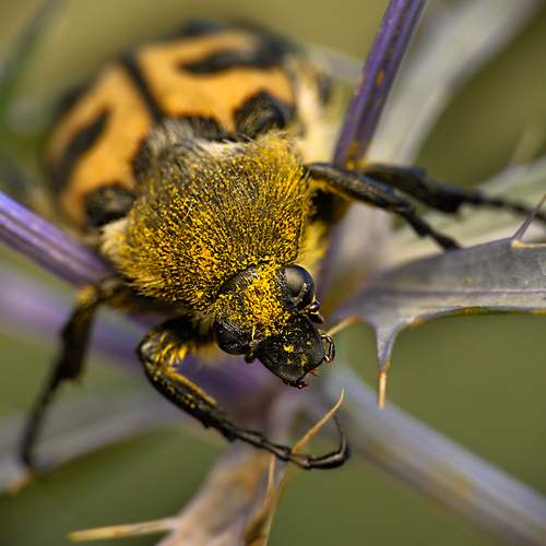 Photo #13193454