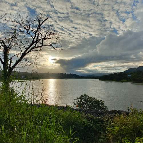 Photo #13193529