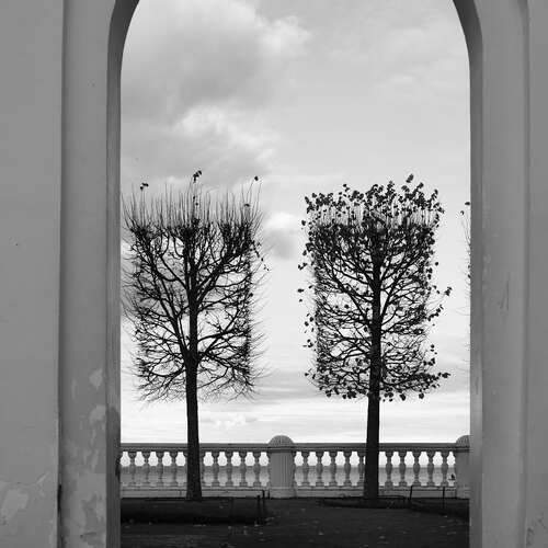 Photo #13193574