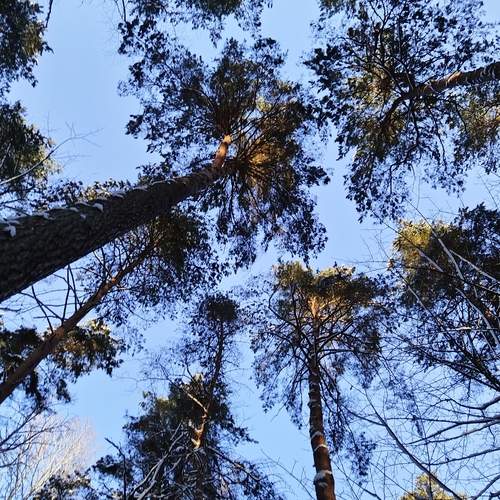 Photo #13193627