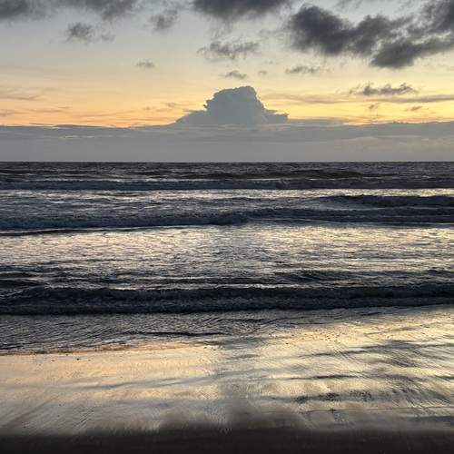 Photo #13193756