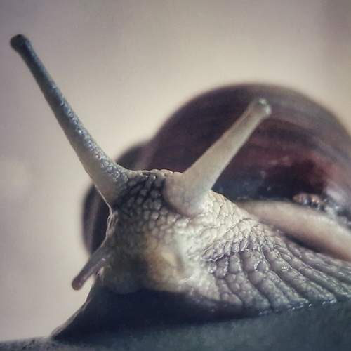 Photo #13193771