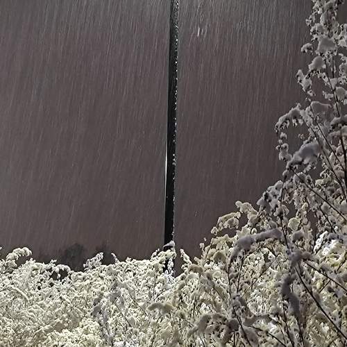 Photo #13193782