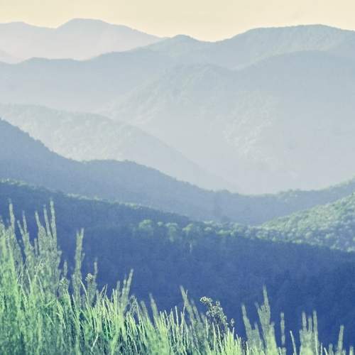 Photo #13193912