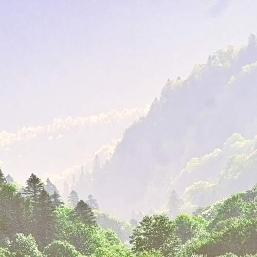 Photo #13193934