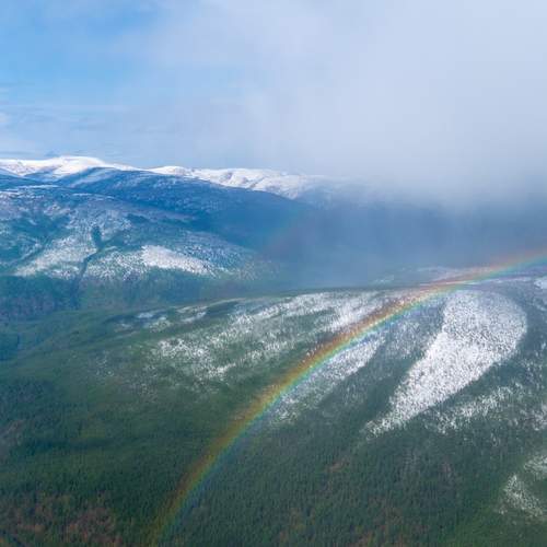 Photo #13193936