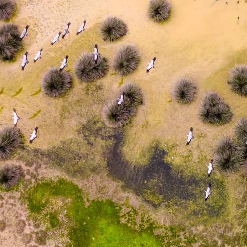 Photo #13193949