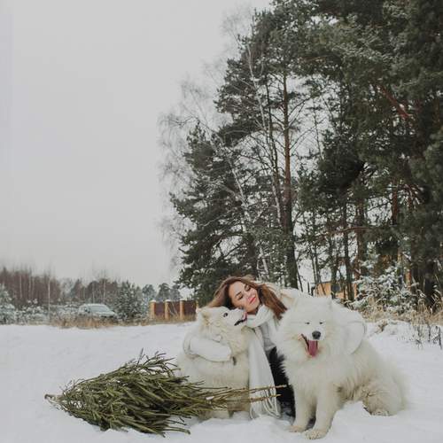 Photo #13194078