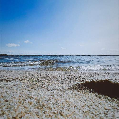 Photo #13194139