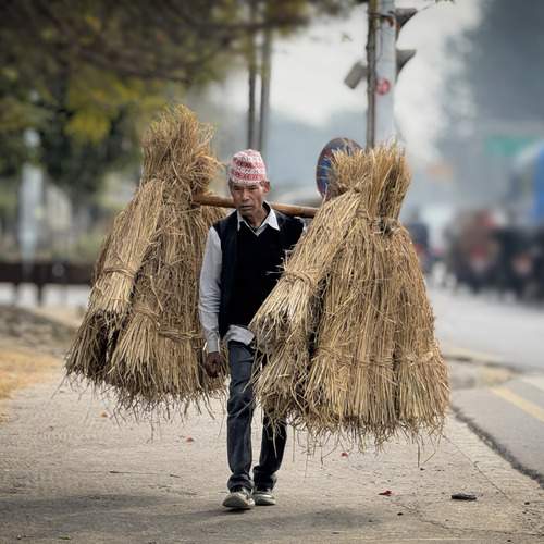 Elder Nepali