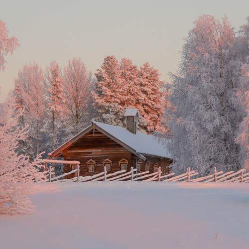 Photo #13194244