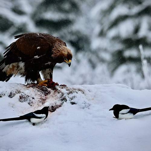 Photo #13194252