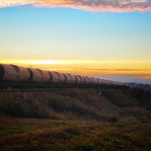 Photo #13194285