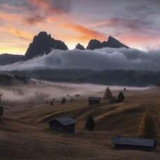 Andrea Curzi