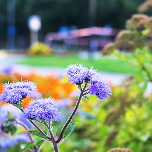 Photo #13194673