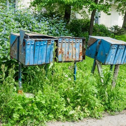 Photo #13194814