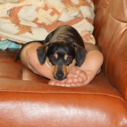Photo #13194837